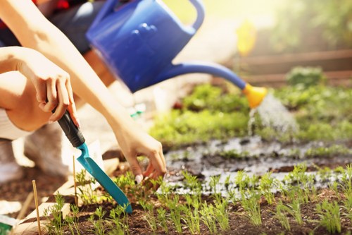 A professional lawn mower maintaining a green lawn in Norbury