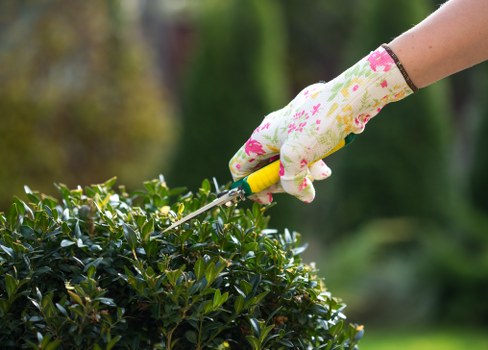 A beautifully landscaped garden showcasing sustainable practices.
