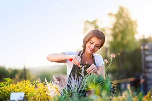 Beautifully maintained lawn with lush green grass