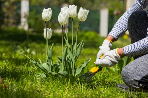 Customized lawn care plan being discussed between gardener and homeowner