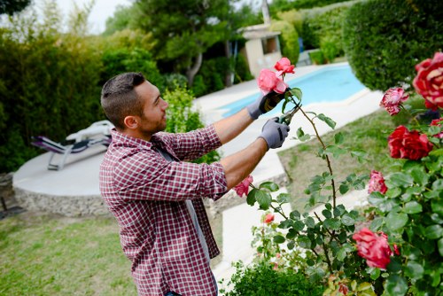 Frustrated homeowner struggling with hedge trimming