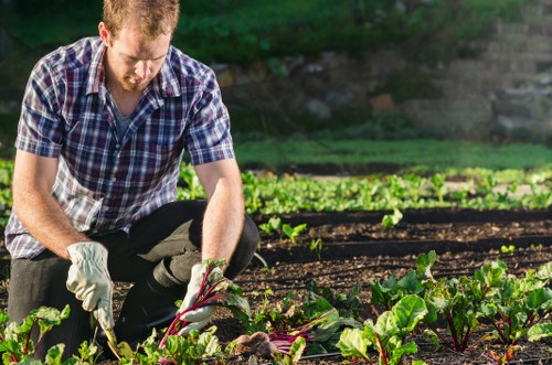 Professional gardener mowing a lush green lawn