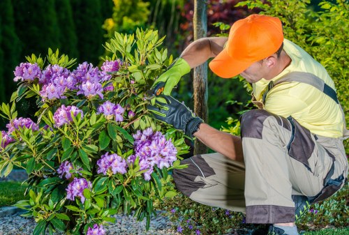 Understanding the challenges posed by tree stumps in mowing.