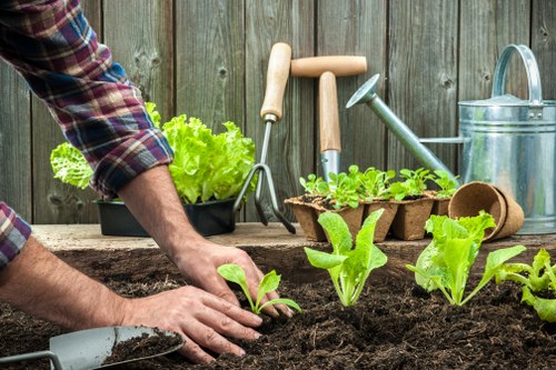 Unkempt lawn highlighting mowing challenges