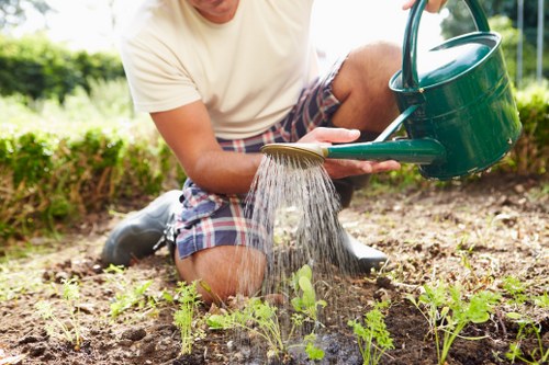 Frustrated homeowner struggling with a traditional lawn mower
