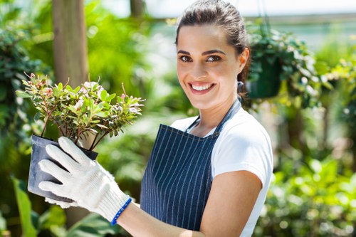 Tools and equipment used in professional lawn mowing services