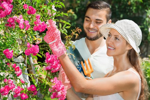 Comparison between tree surgeon and lawn mower equipment