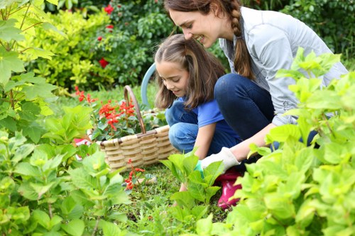 Comparing hedge trimmers to traditional mowers