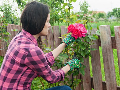 Eco-friendly lawn care equipment in Putney