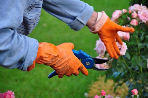 Cost implications of stump grinding services