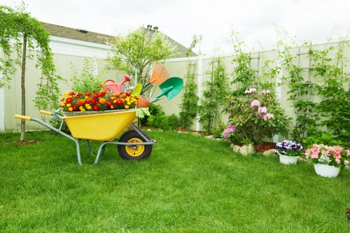 Cost-effective lawn care services in a residential Clapham area