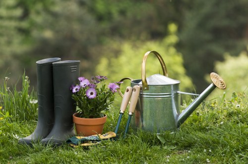 A close-up view of a neat garden being maintained with precision in West Hampstead.