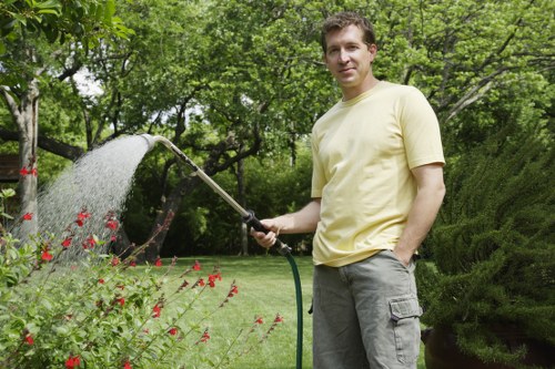 Choosing the right stump removal service for your needs.