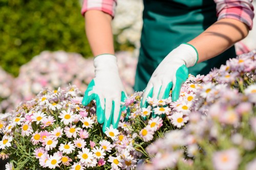 Homeowners enjoying their low-maintenance turf lawn