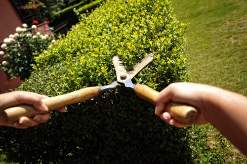 Choosing the right garden service provider