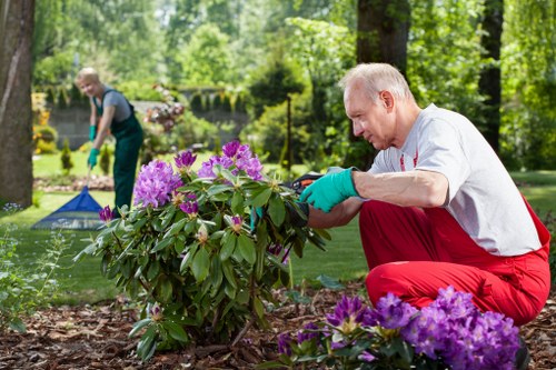 Common obstacles during garden clearance