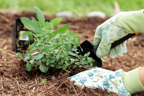 Eco-friendly lawn care practices in Erith.