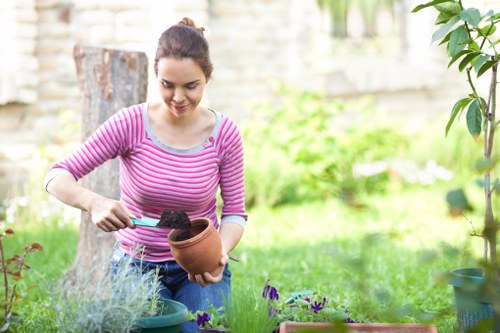 Eco-friendly lawn maintenance practices