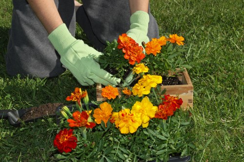 Strategies to ease mowing around garden fences