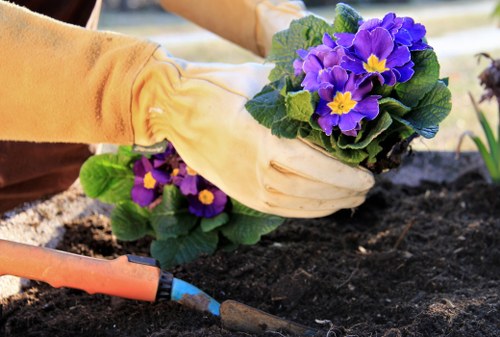 Gardening team working on lawn maintenance