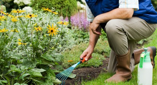 Innovative robotic mower in a sustainable garden setting.