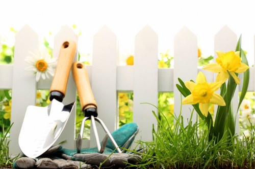 Safe and efficient professional lawn maintenance