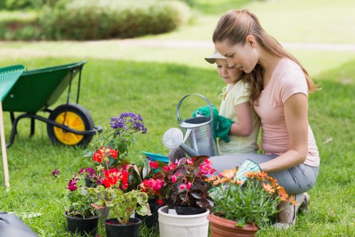 Cost comparison between pressure washing and traditional mowing
