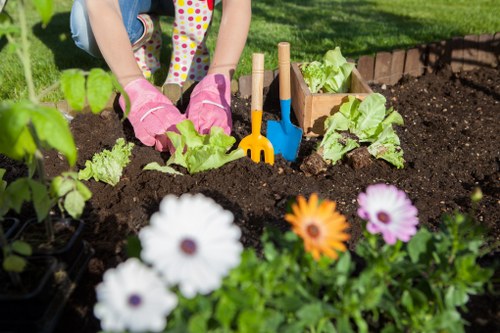 Lush green lawn maintained by experts