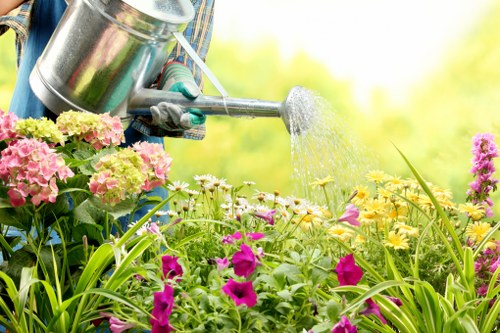 Natural landscaping with groundcovers and wildflowers