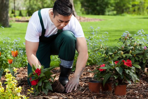 Various types of high-quality turf options displayed