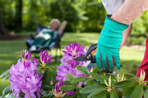 Essential tools for optimal garden maintenance
