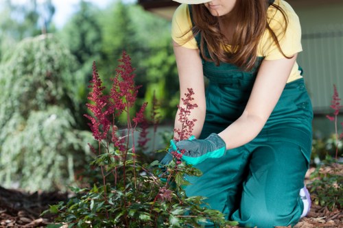 Lawn care professional maintaining a garden in Ruislip