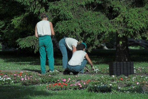 Professional lawn mower at work in Putney