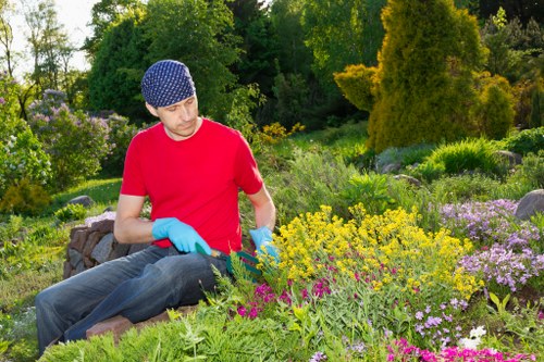 Lack of precision when hedge trimmers are used for mowing