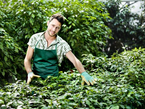 Eco-friendly lawn care practices