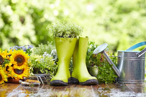 Environmental impact of excessive water usage in mowing