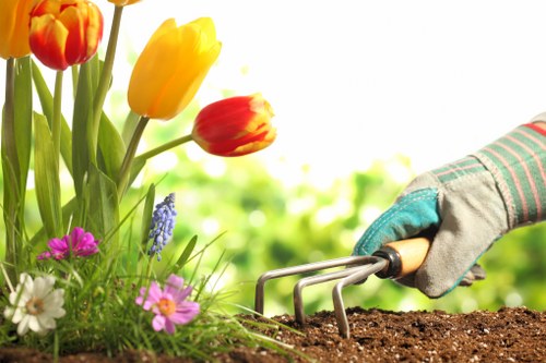 Environmental impact of stump grinding machinery