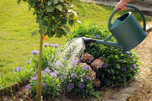 Eco-friendly turf installation reducing water usage