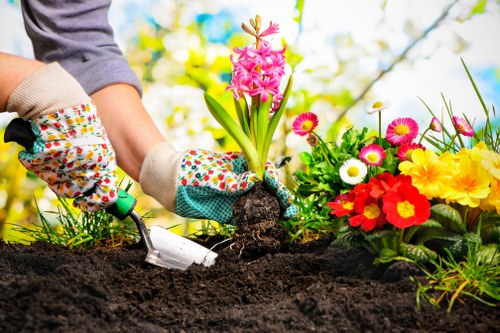 Eco-friendly lawn care practices with a reel mower