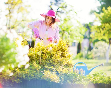 Environmental impact of using hedge trimmers for lawn care