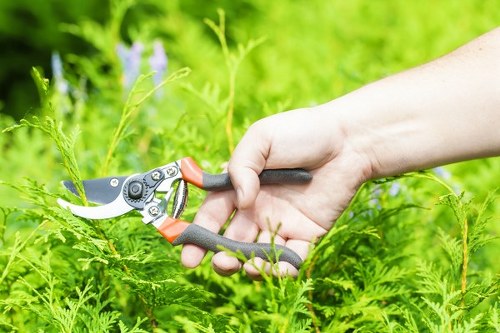 Tools and equipment used for lawn mowing in Erith.
