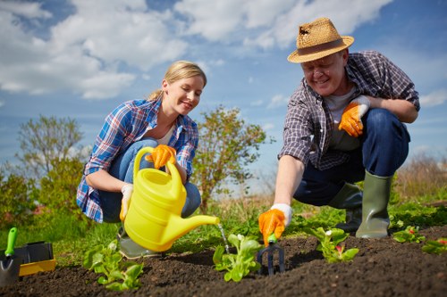 Innovative lawn mowing technologies and eco-friendly solutions
