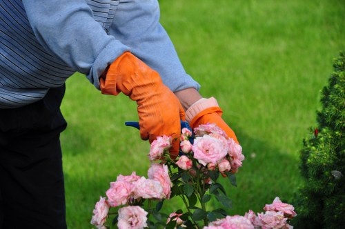 Choosing the right lawn mower for your garden