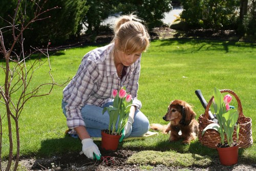 Cost comparison between DIY mowing and professional services