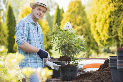 Eco-friendly lawn mowing practices in Heston gardens