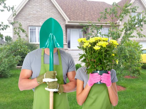 Alternative lawn maintenance methods in a modern garden.