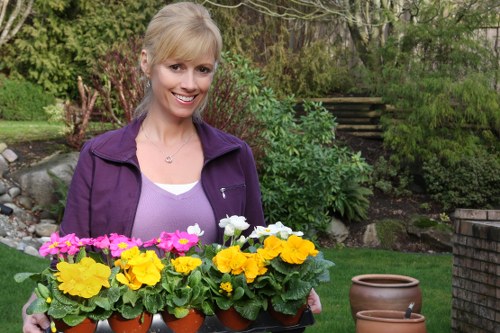 Kilburn experts maintaining a healthy lawn