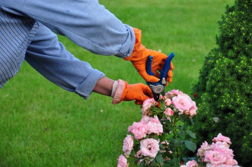 Gardener using outdated mowing equipment