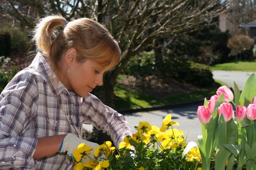 Advanced lawn care equipment in action