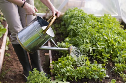 Gardener maintaining a healthy New Malden lawn